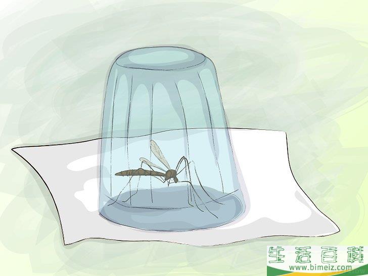 如何避免蚊子叮咬